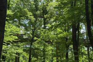 Paartour 2026